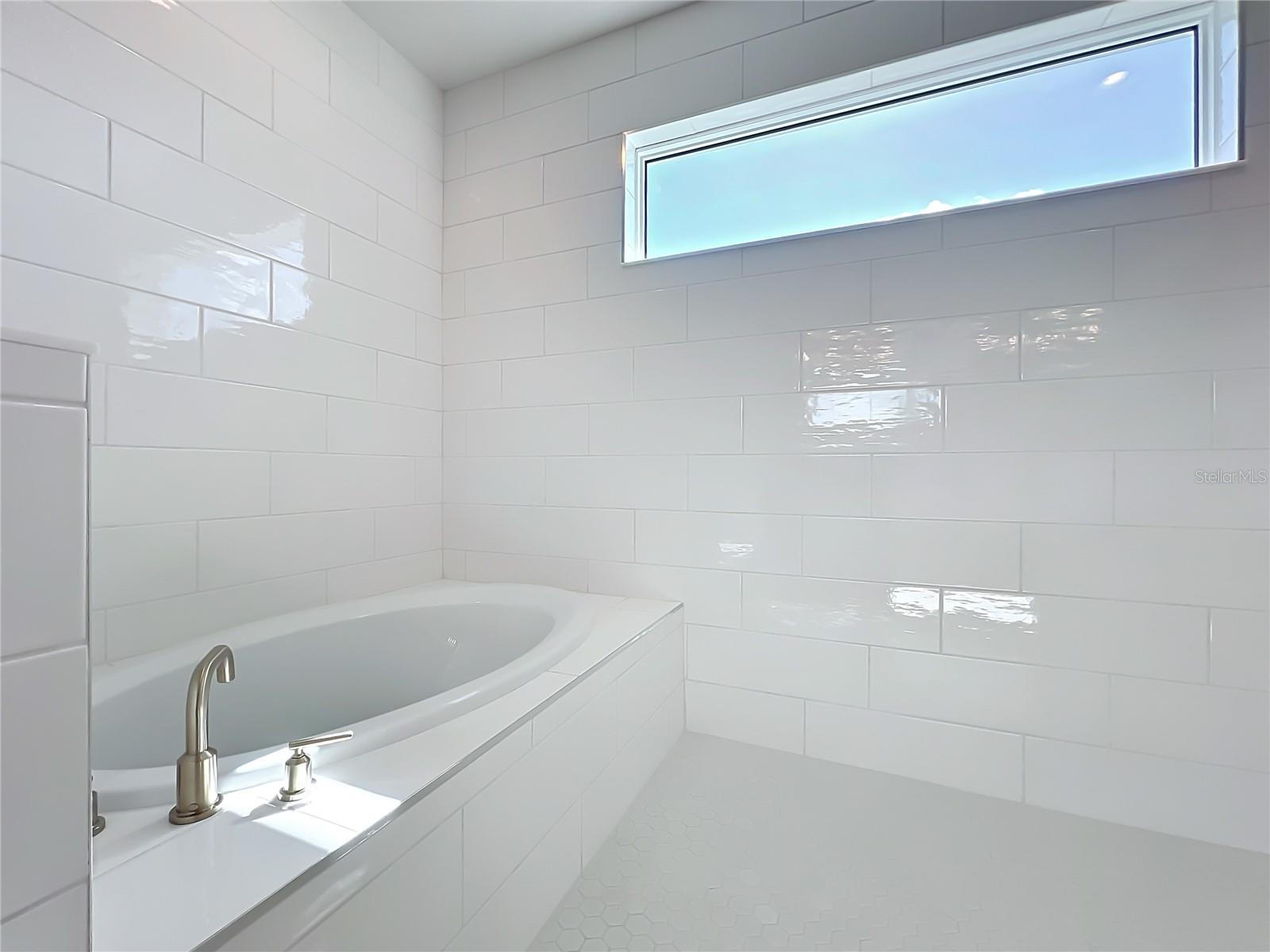 Image 41 of 70 For 10006 Degas Terrace