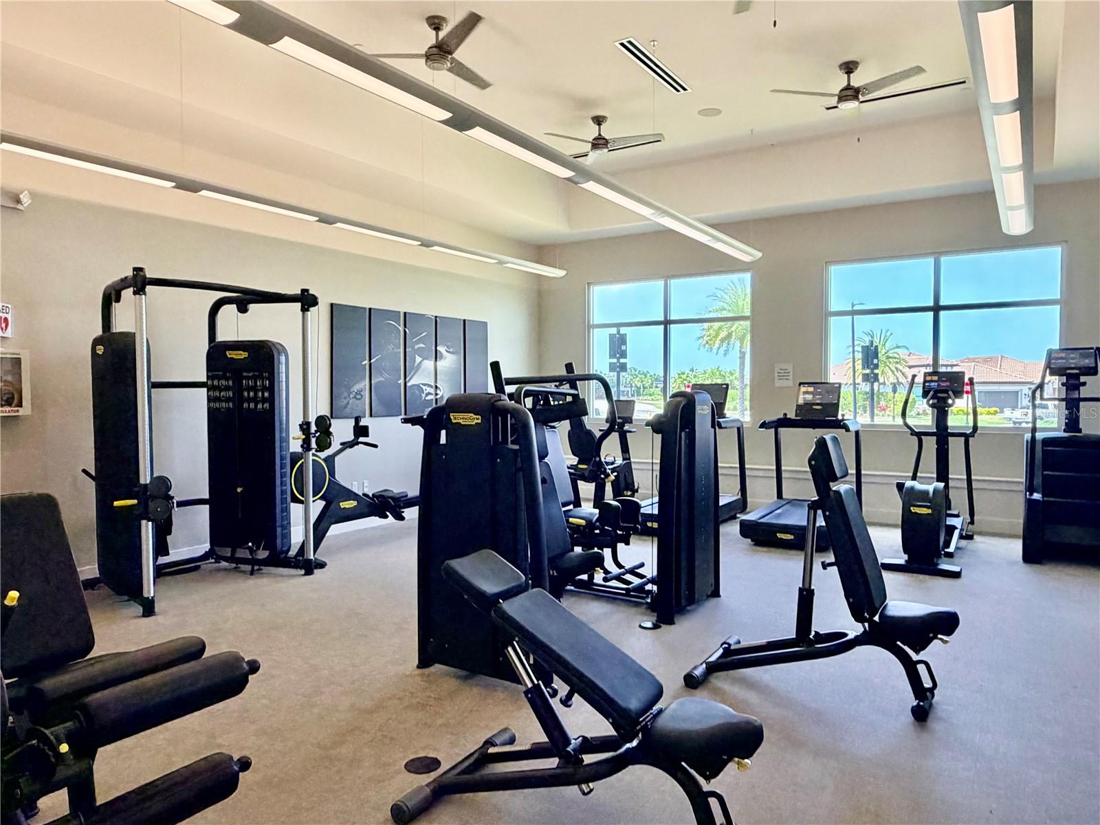 Image 50 of 59 For 6111 Mesa Glen