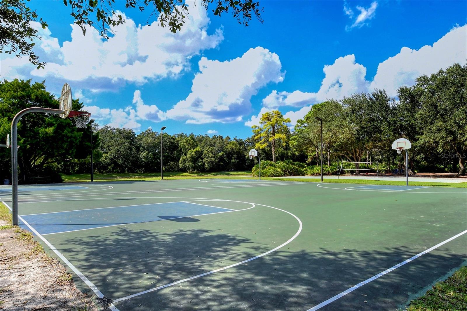 Image 39 of 48 For 12069 Winding Woods Way