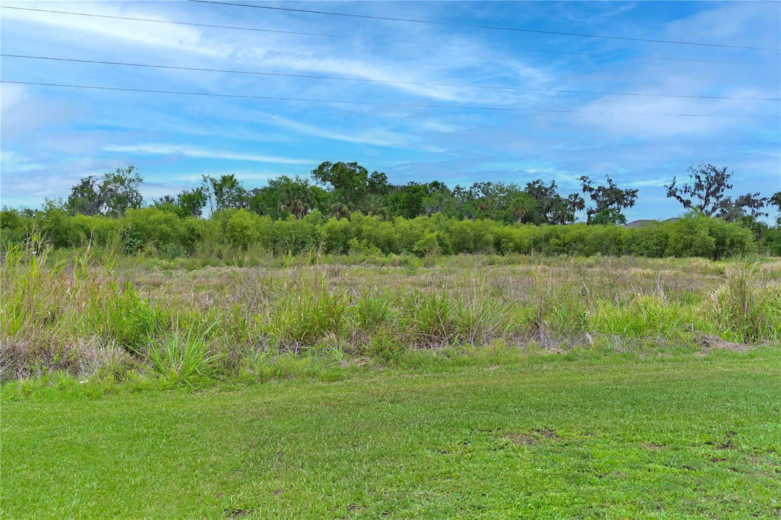 Image 11 of 35 For 4919 Wedgeleaf Way