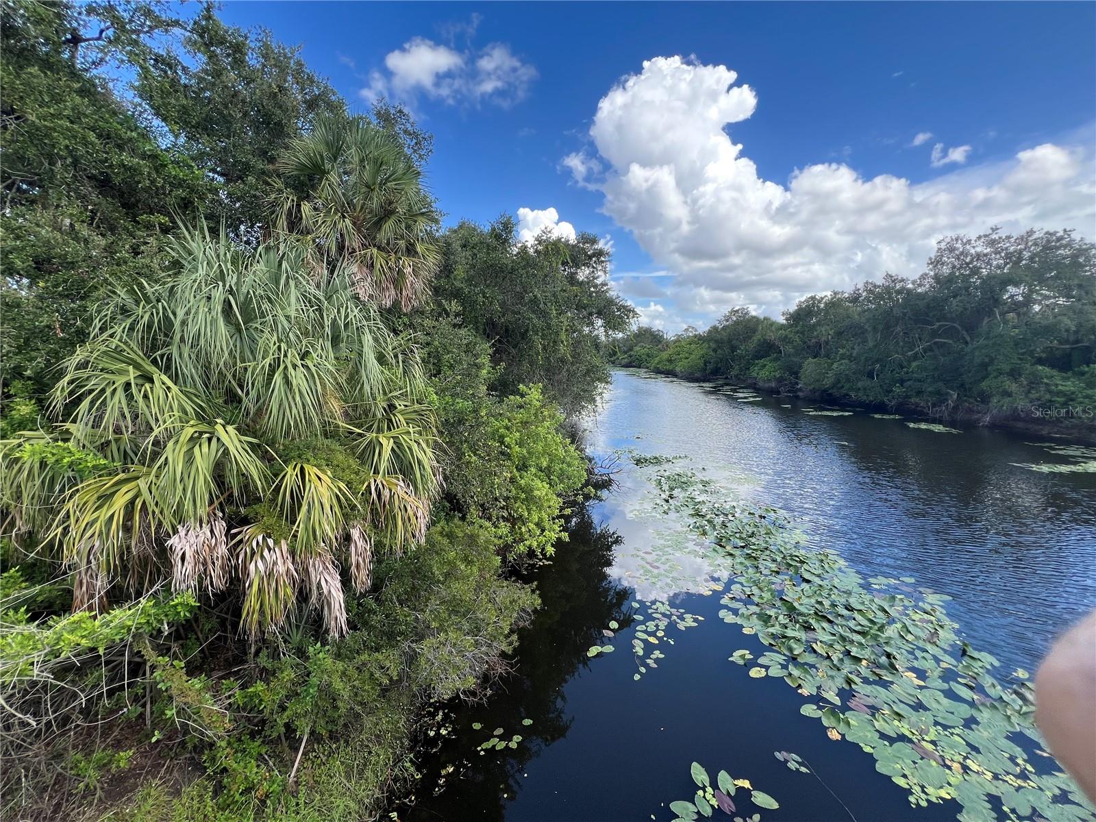 Listing photo id 3 for Raywood Avenue