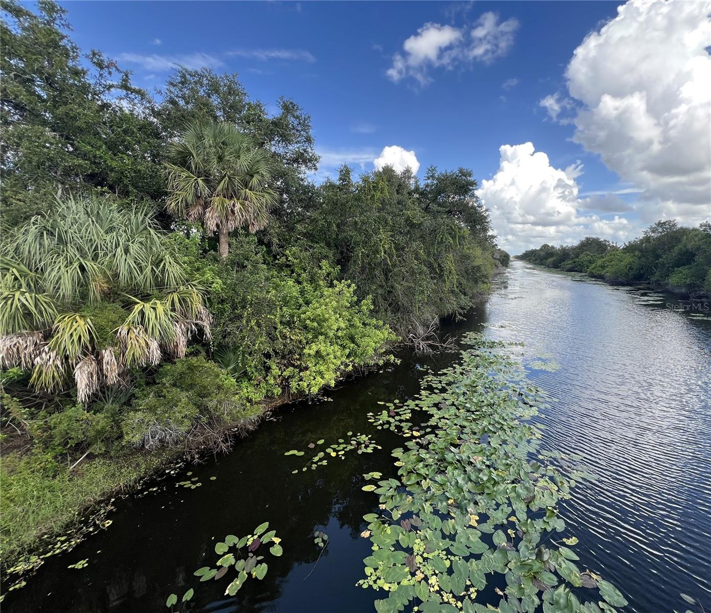 Listing photo id 4 for Raywood Avenue