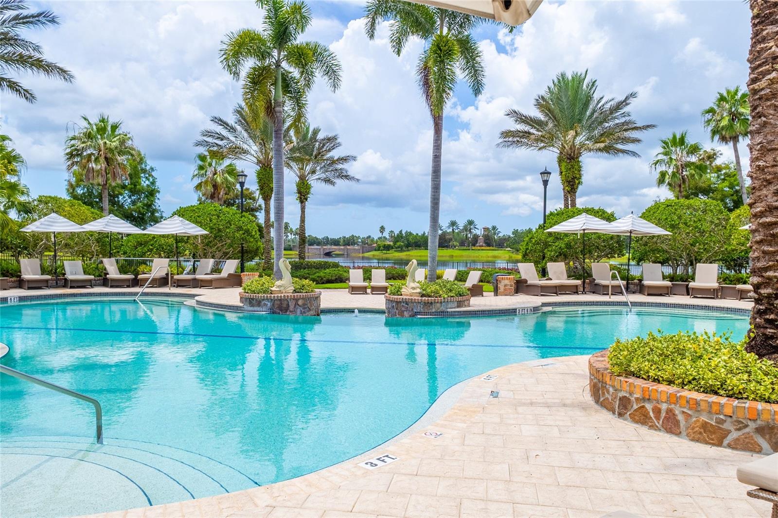 Image 73 of 83 For 8560 Pavia Way