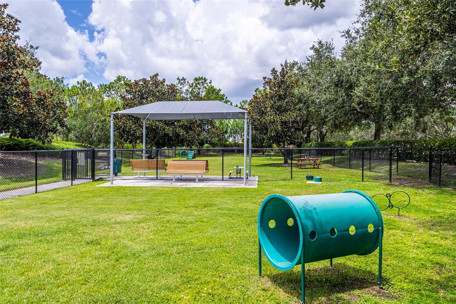 Image 78 of 83 For 8560 Pavia Way