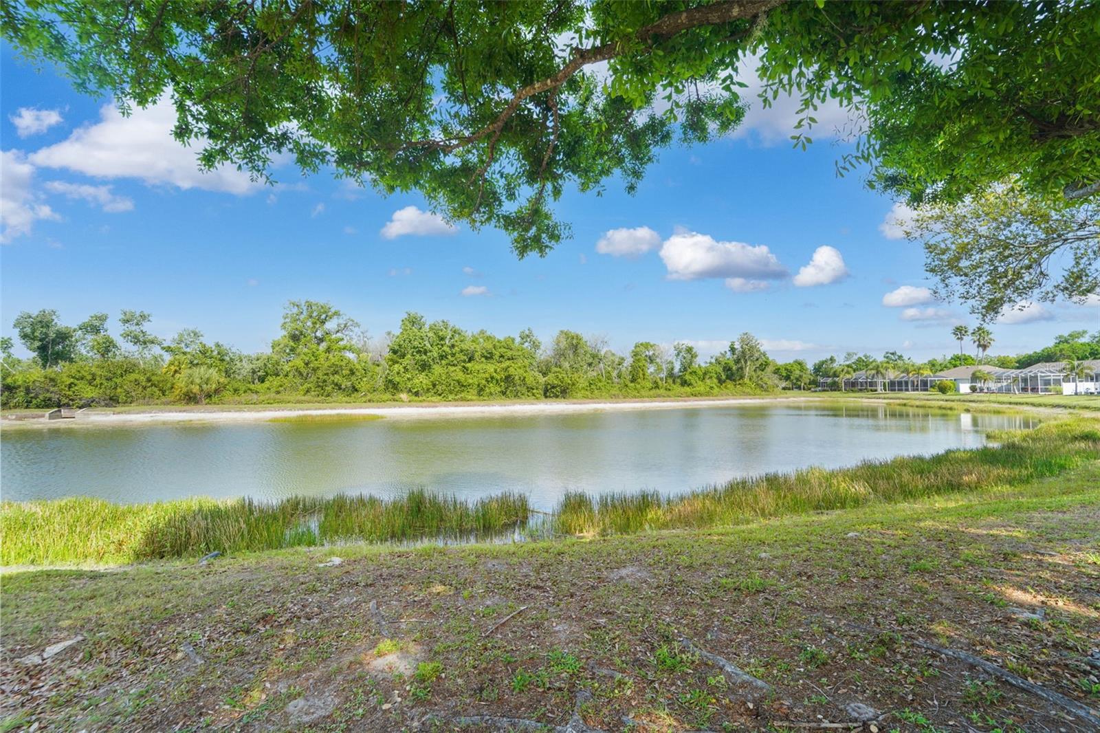 Image 4 of 41 For 9401 69th Avenue E