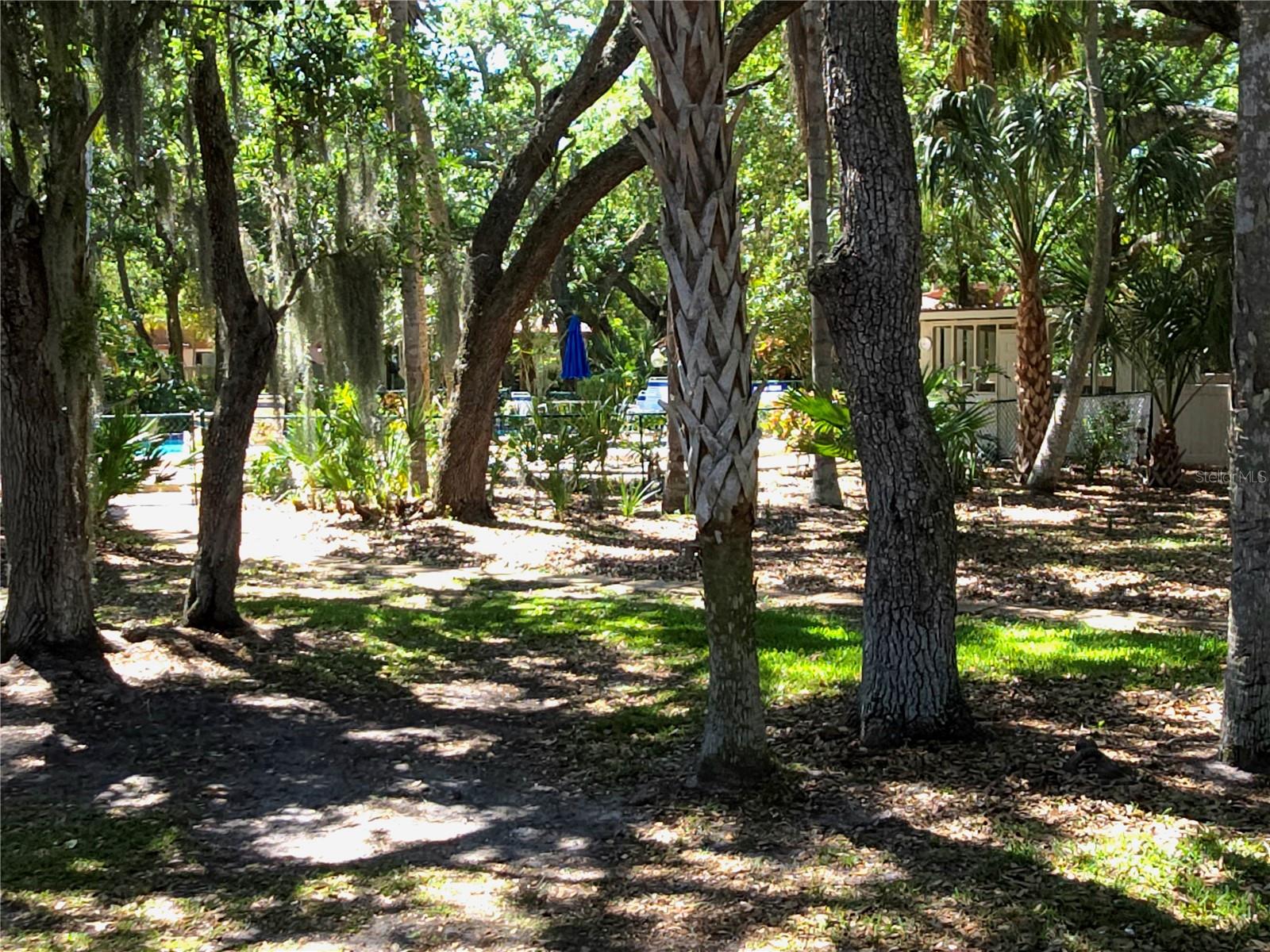 Image 44 of 50 For 3407 Falcon Pl