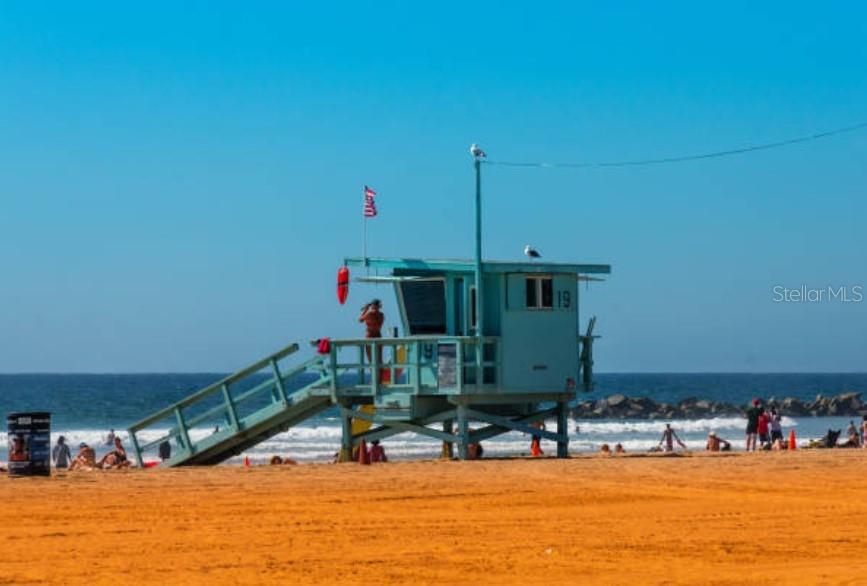 Image 19 of 33 For 208 Corelli Drive