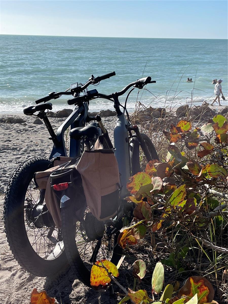 Image 28 of 33 For 208 Corelli Drive