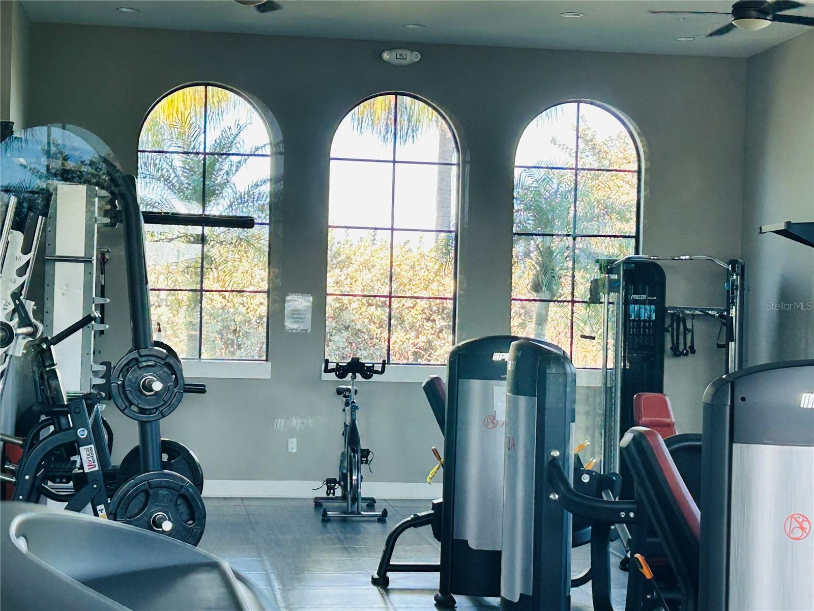 Image 8 of 33 For 208 Corelli Drive