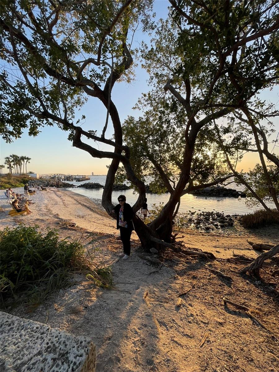 Image 50 of 63 For 828 Tuttle Avenue A