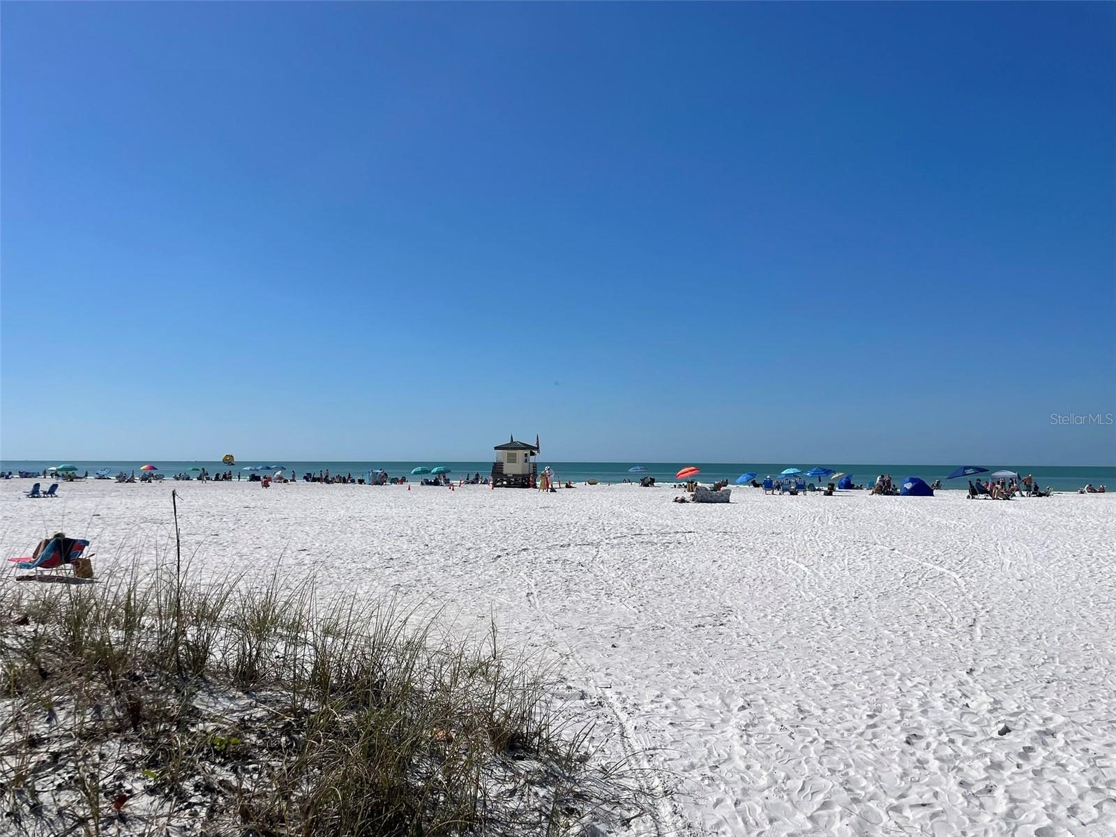 Image 55 of 63 For 828 Tuttle Avenue A