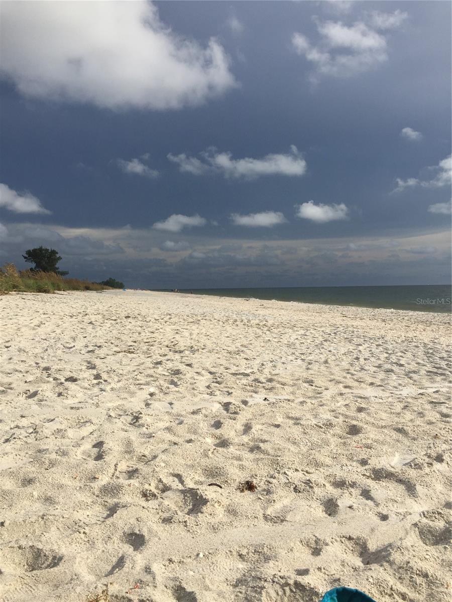 Image 61 of 63 For 828 Tuttle Avenue A