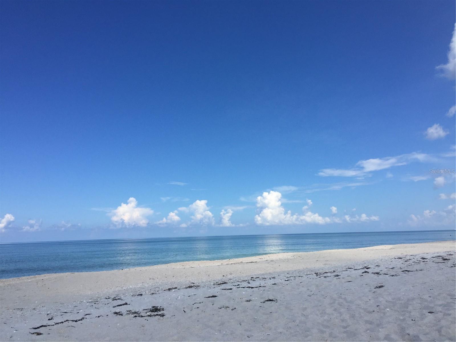 Image 63 of 63 For 828 Tuttle Avenue A