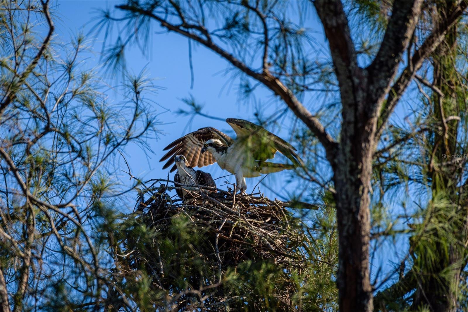 Image 56 of 85 For 4726 Potomac Circle