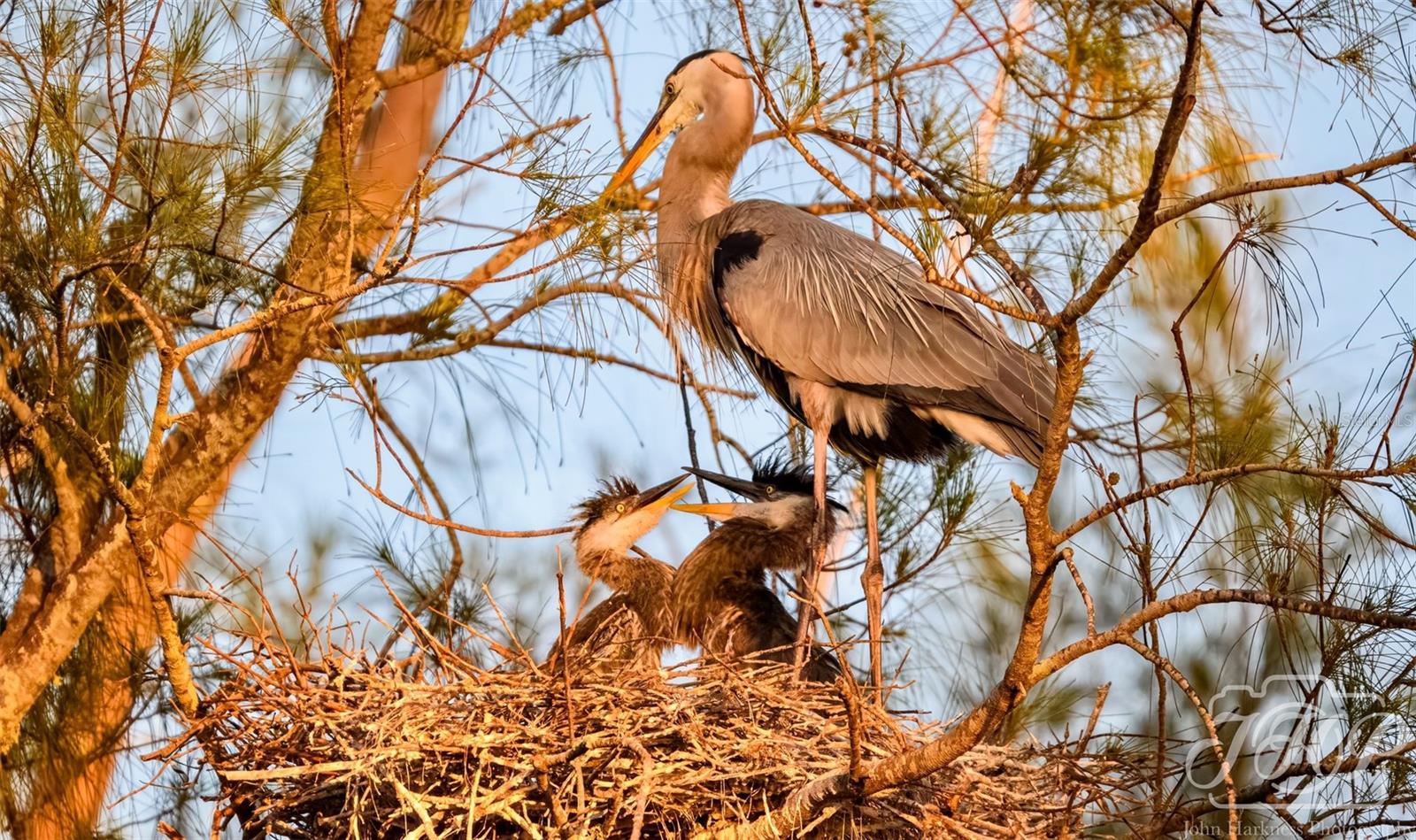 Image 57 of 85 For 4726 Potomac Circle