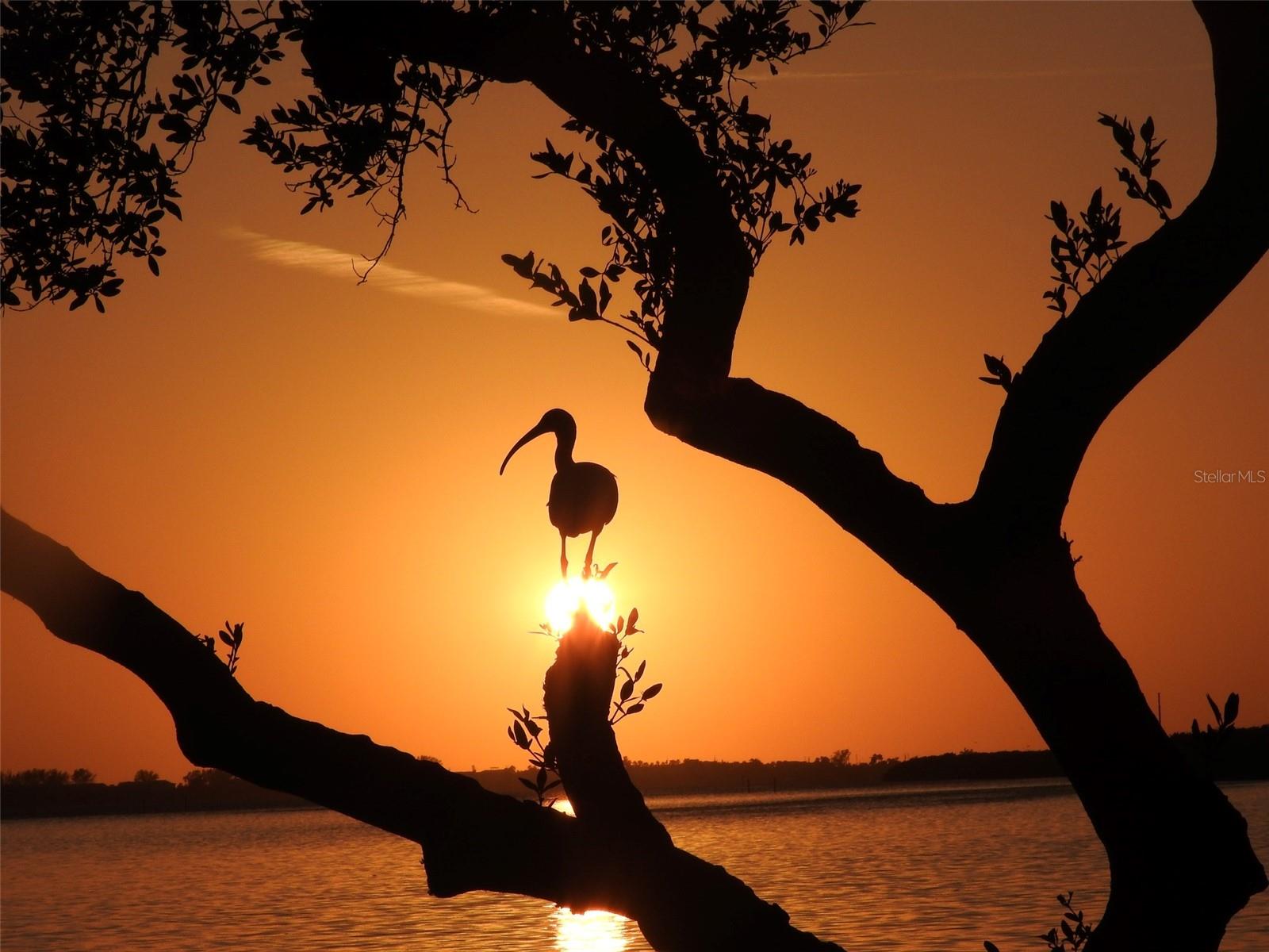 Image 64 of 85 For 4726 Potomac Circle