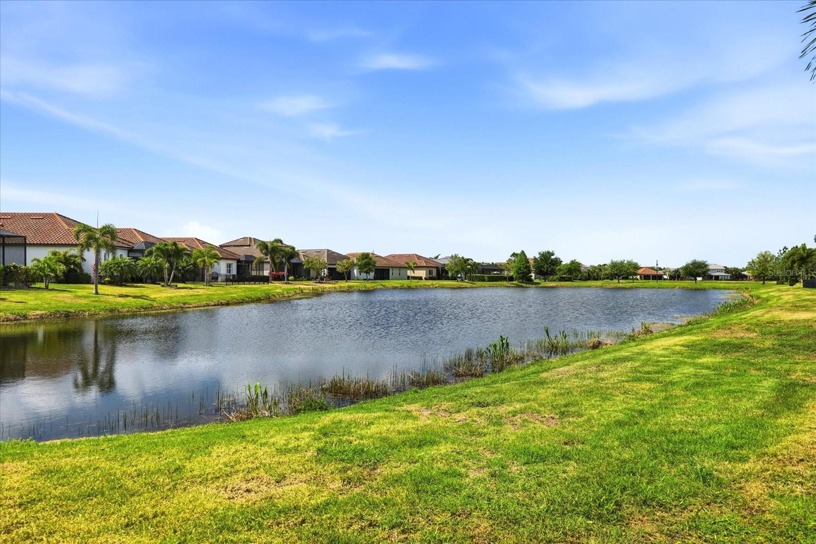 Image 35 of 57 For 12422 Perennial Place