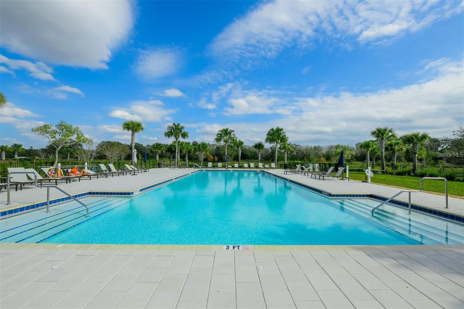 Image 50 of 53 For 3806 Savanna Palms Court