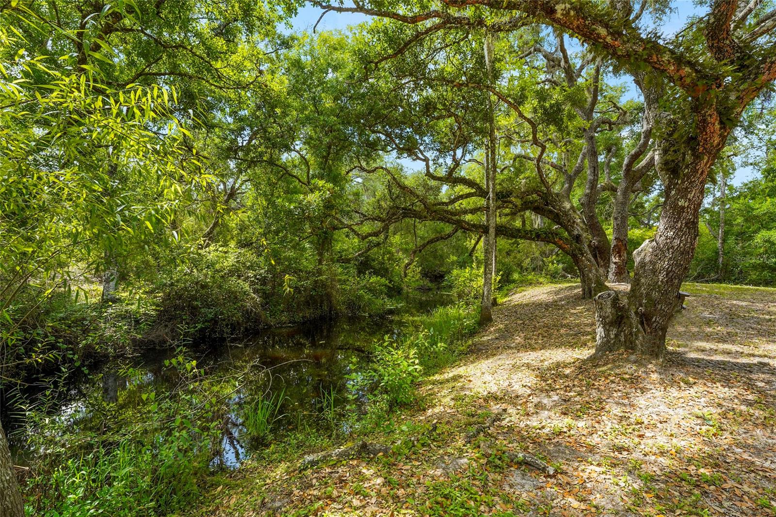 Image 12 of 84 For 25640 State Road 70 E