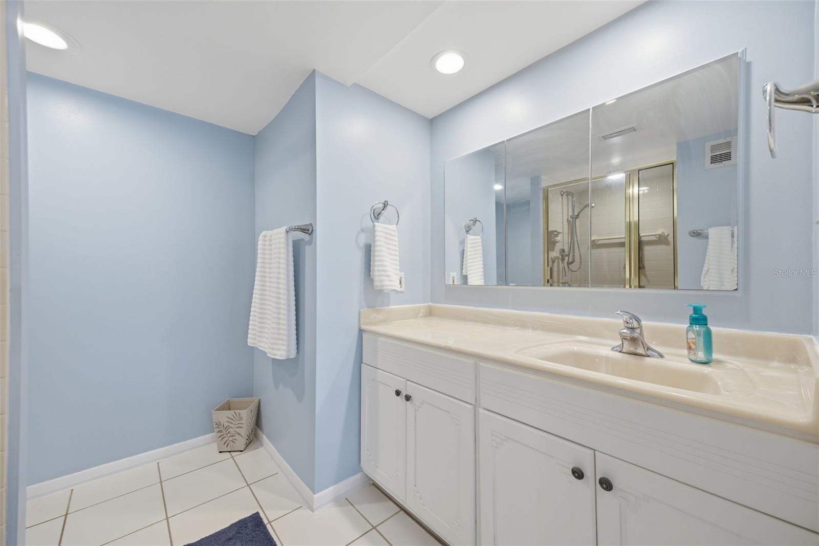 Image 30 of 38 For 1460 Gulf Boulevard 501