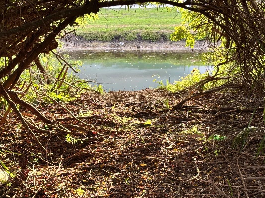 Listing photo id 5 for 11521 Southern Creek Drive