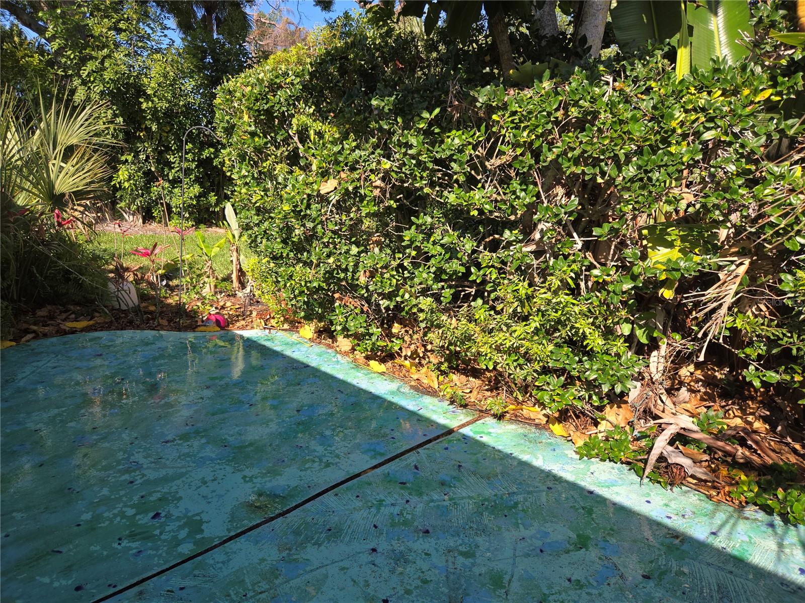 Image 13 of 30 For 2974 Captiva Gardens Drive 17