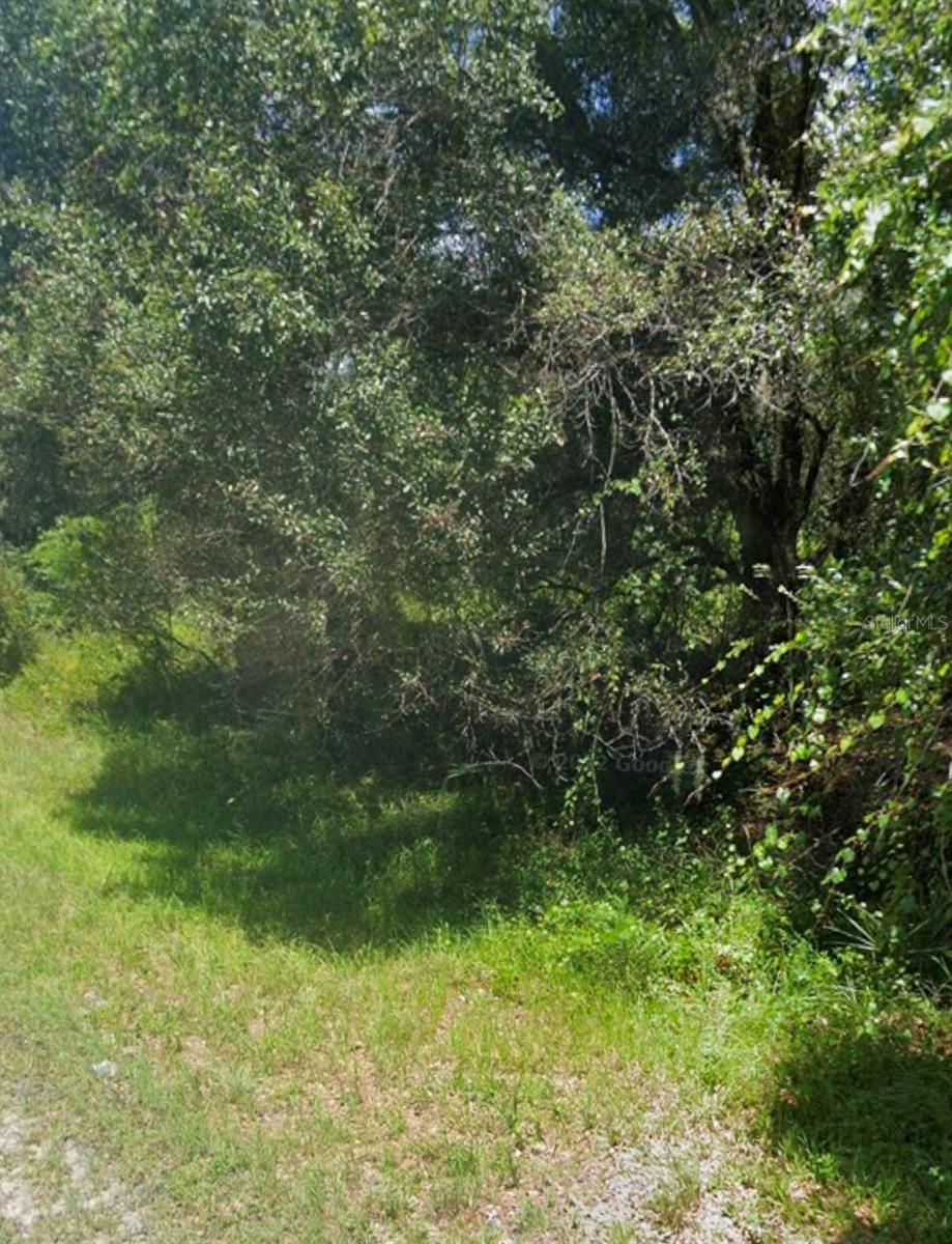 Image 2 of 5 For  Bangar Lane 