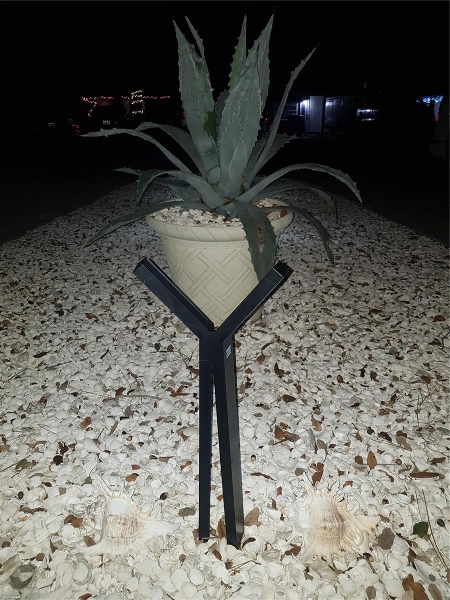 Image 84 of 100 For 311 58th Avenue E