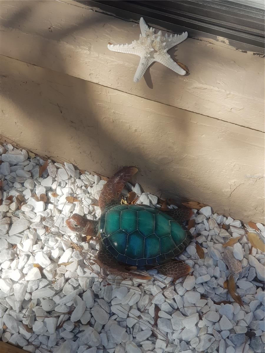 Image 86 of 100 For 311 58th Avenue E