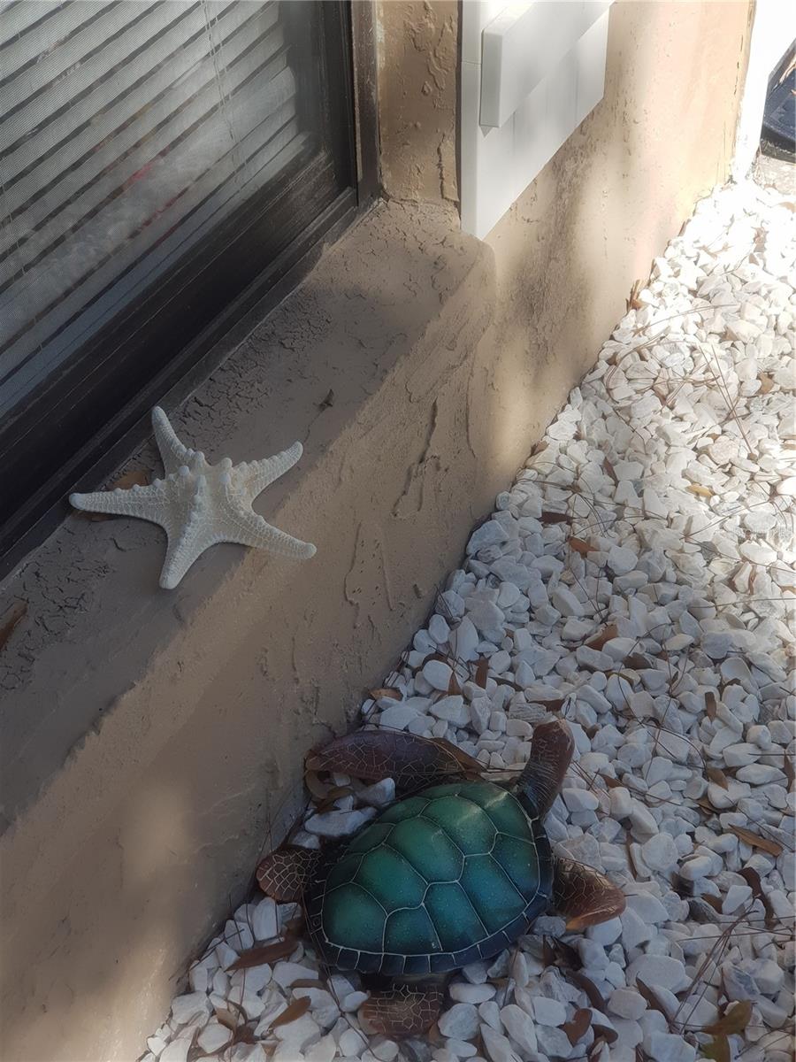 Image 88 of 100 For 311 58th Avenue E