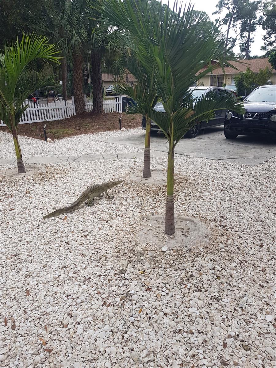 Image 96 of 100 For 311 58th Avenue E