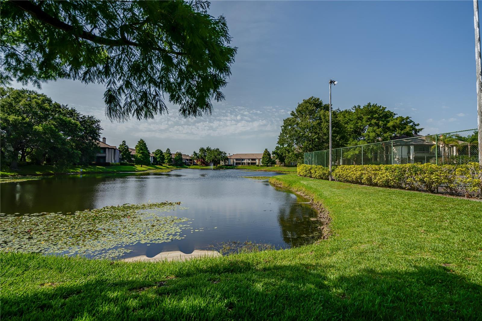 Image 4 of 44 For 10263 Gandy Boulevard N 2106