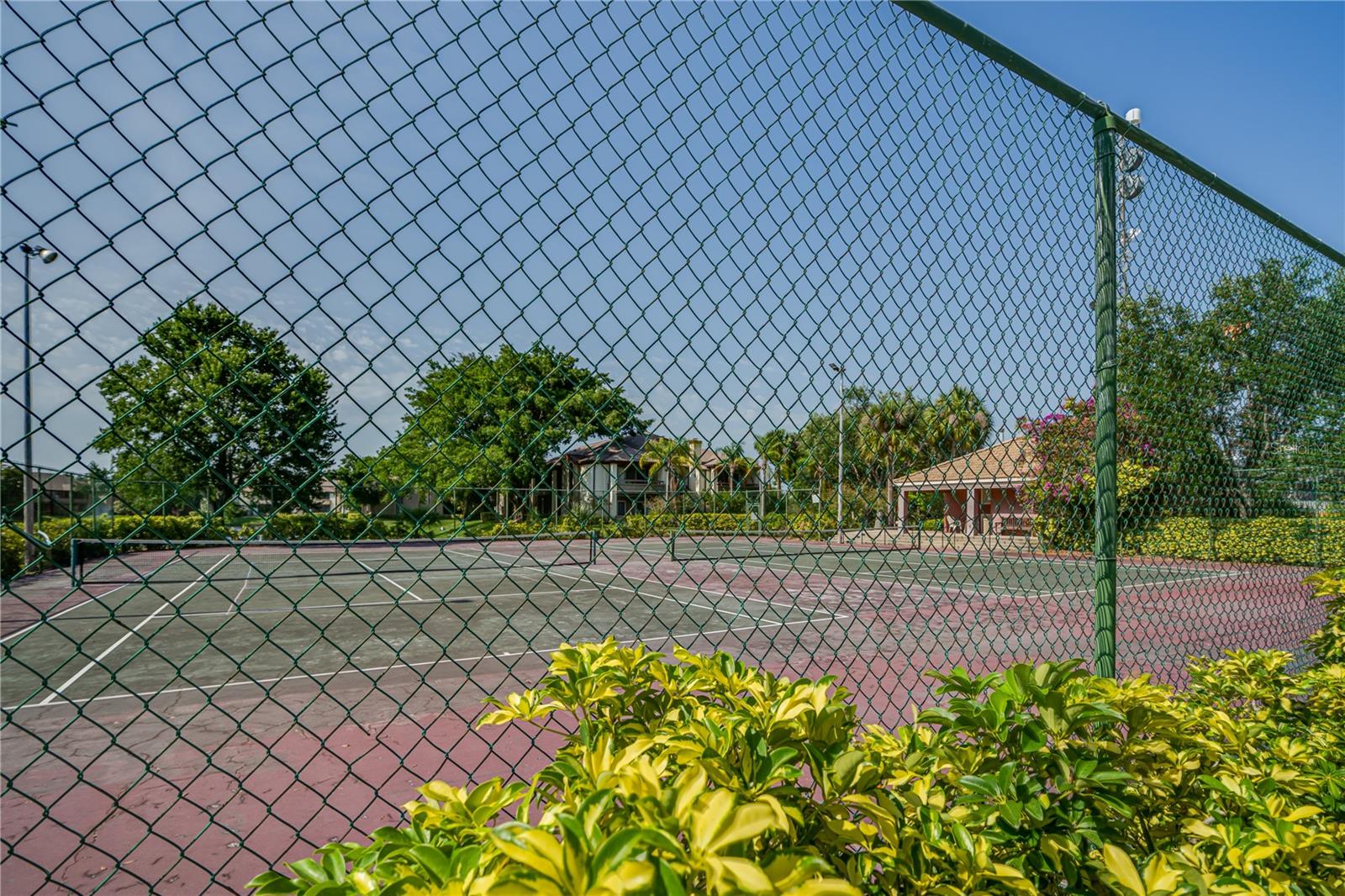 Image 40 of 44 For 10263 Gandy Boulevard N 2106