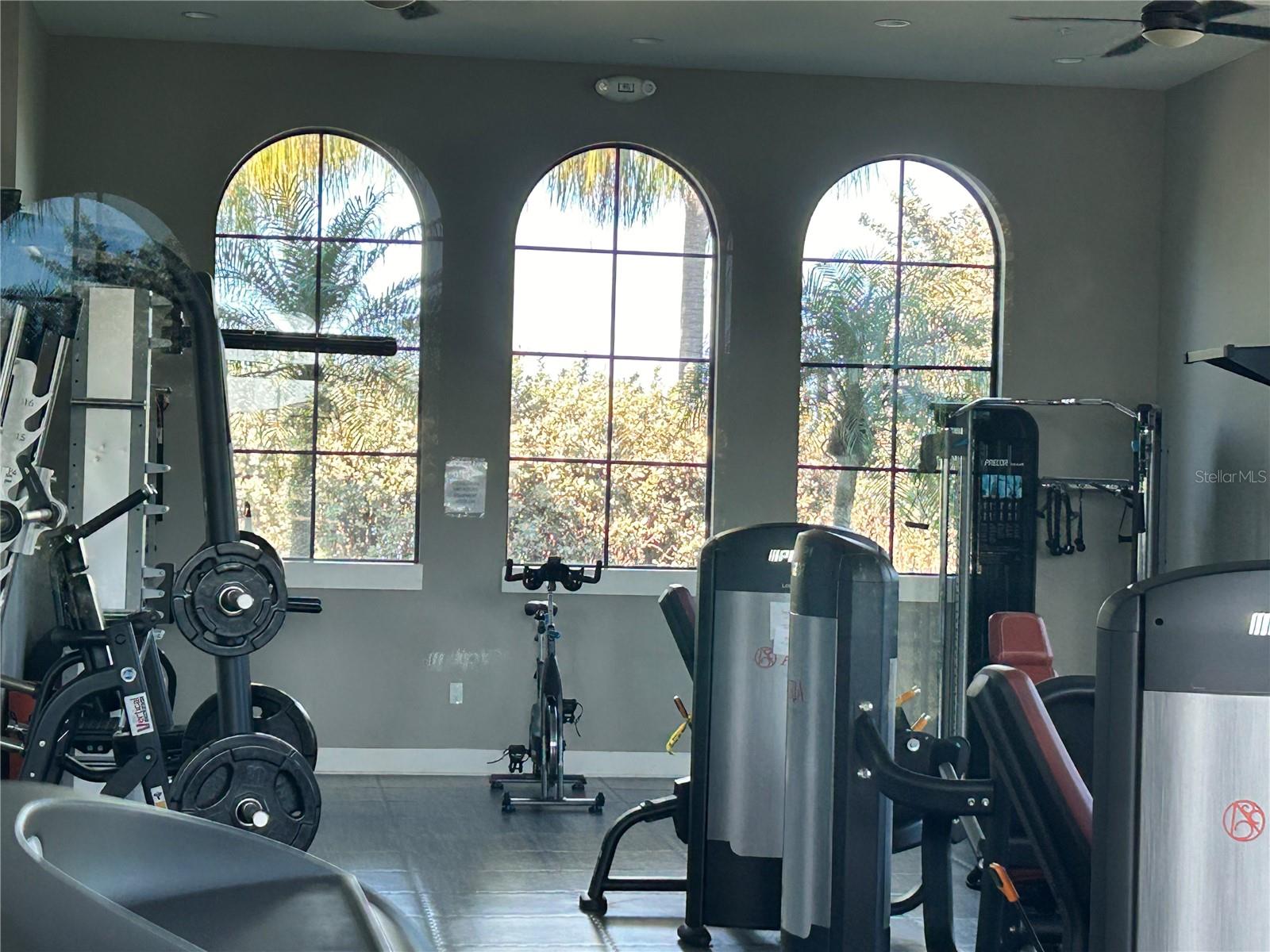 Image 9 of 19 For 208 Corelli Drive