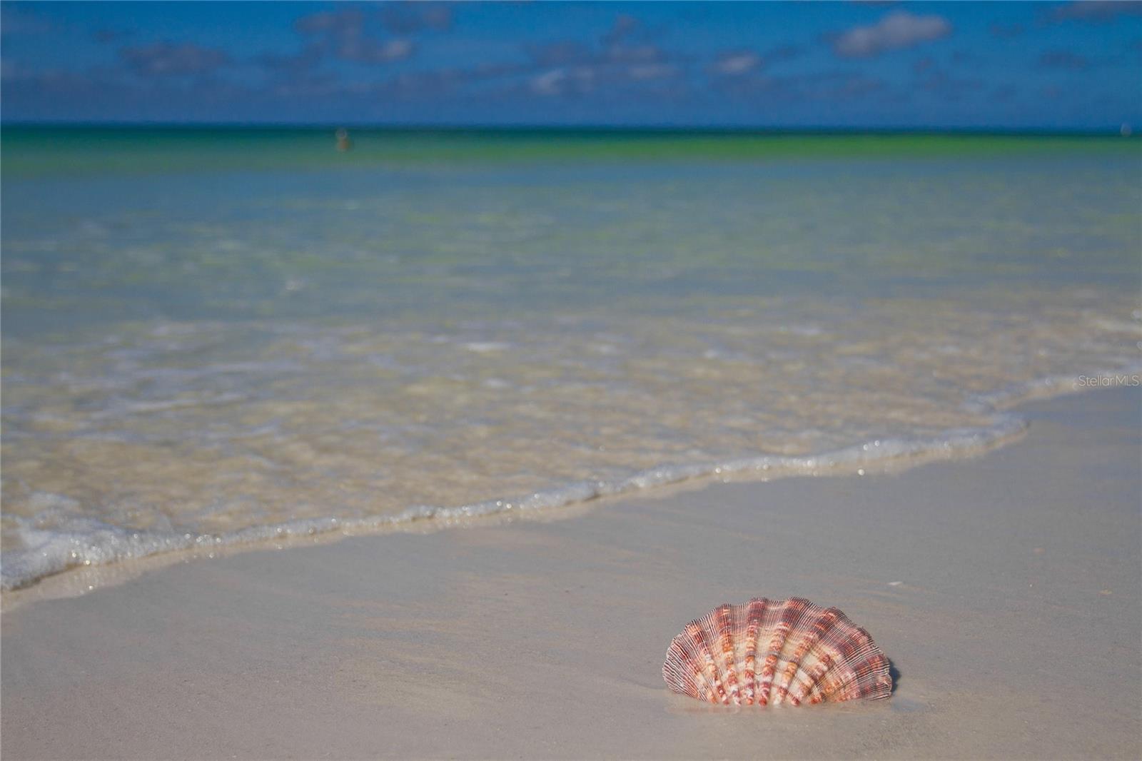 Image 59 of 66 For 708 42nd Street