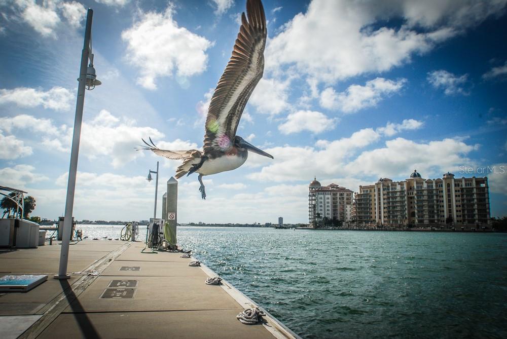 Image 60 of 66 For 708 42nd Street