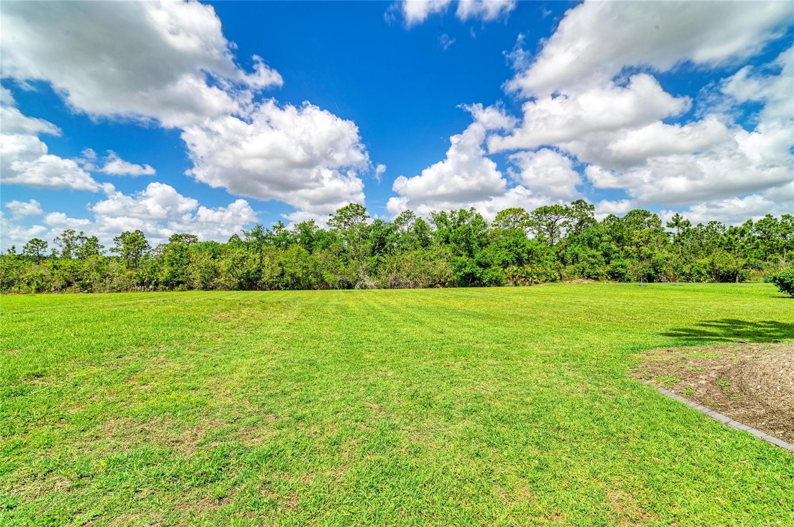 Image 46 of 52 For 8014 Snowy Egret Place