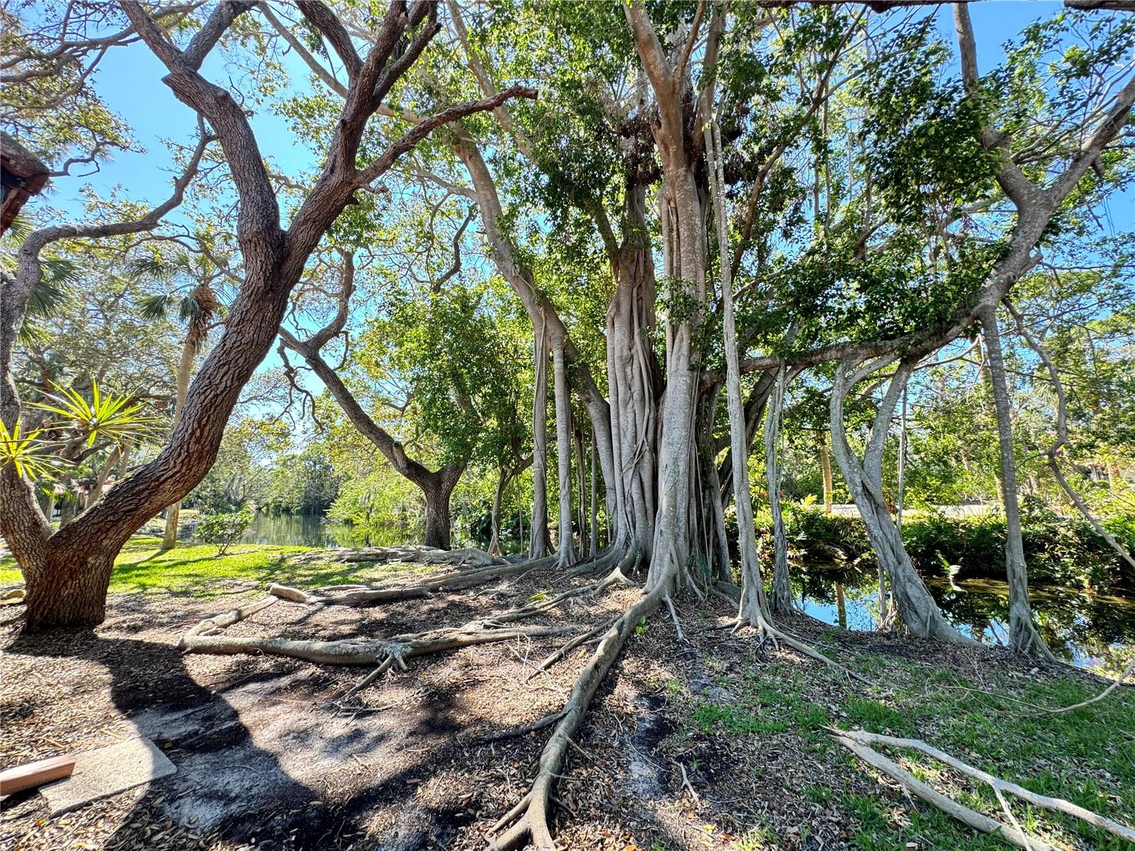 Image 33 of 35 For 6403 Meadowlark Lane