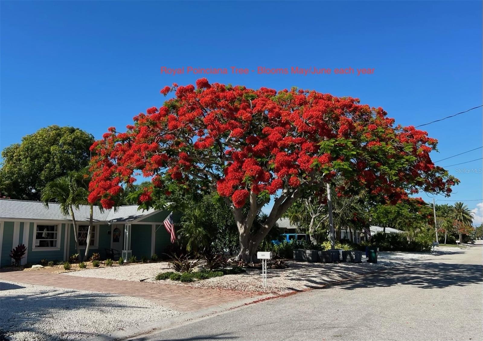 Listing photo id 51 for 504 69th Street