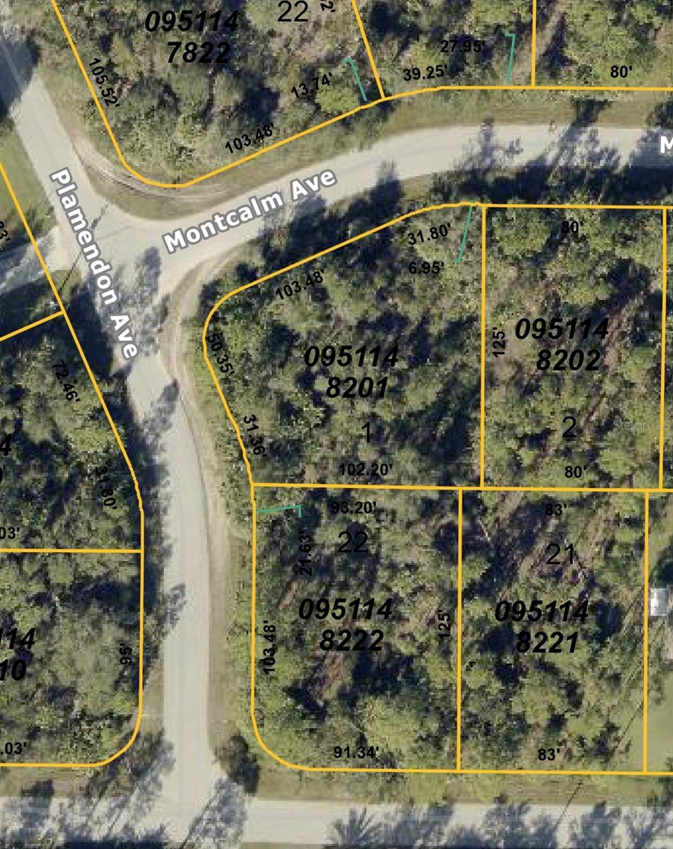 Image 3 of 6 For Montcalm Avenue