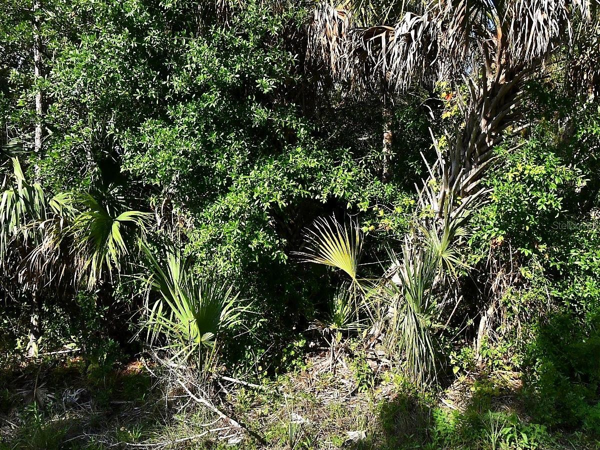 Image 5 of 6 For Montcalm Avenue