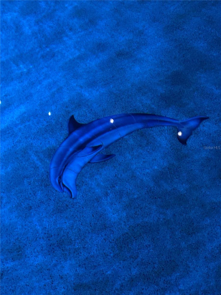 Listing photo id 7 for 15531 Trinity Fall Way