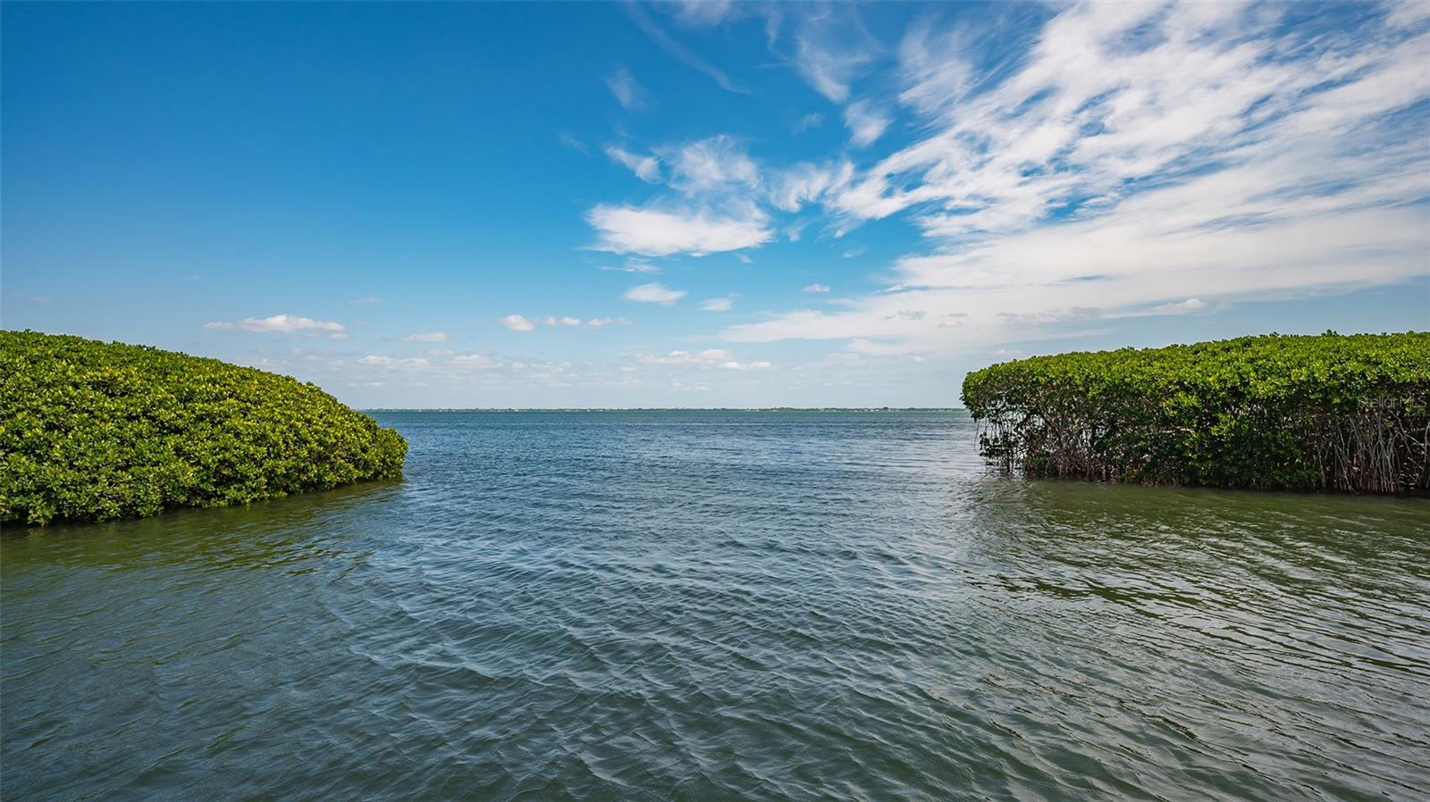 Image 32 of 67 For 1932 Harbourside Drive 244