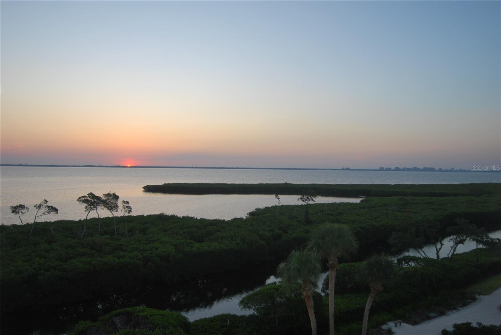 Image 66 of 67 For 1932 Harbourside Drive 244