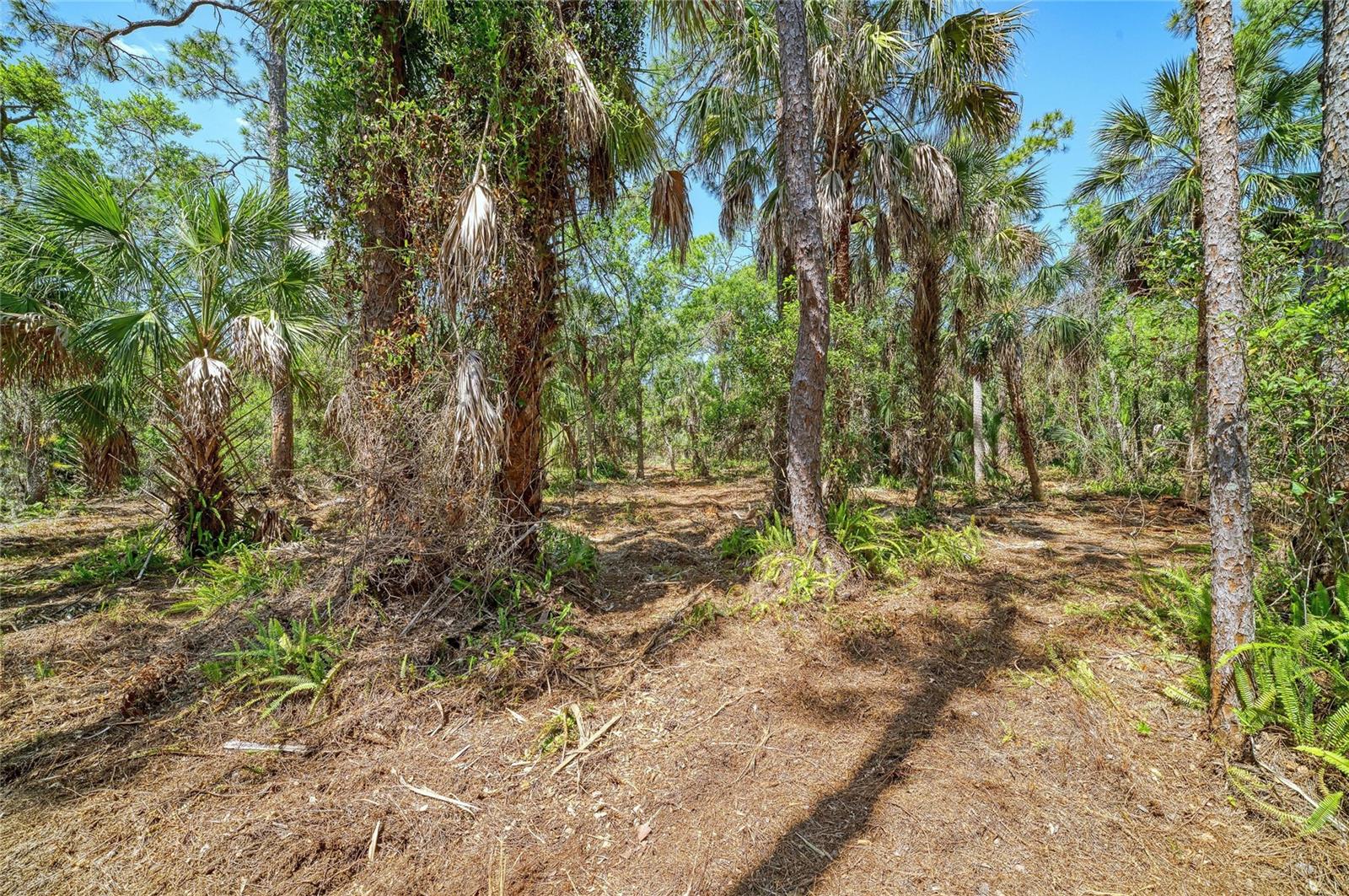 Image 10 of 18 For 3612 57th Street E