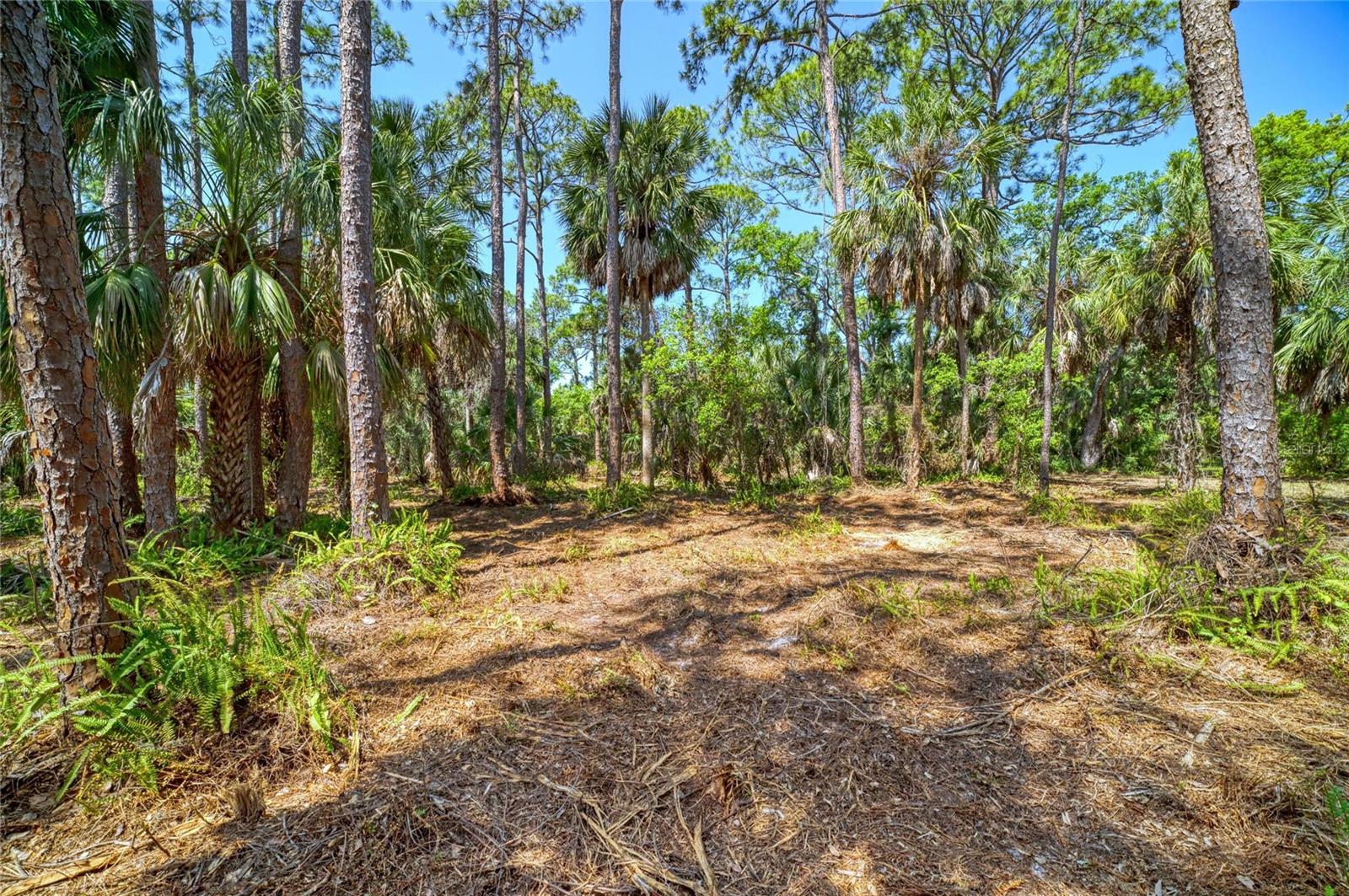 Image 11 of 18 For 3612 57th Street E