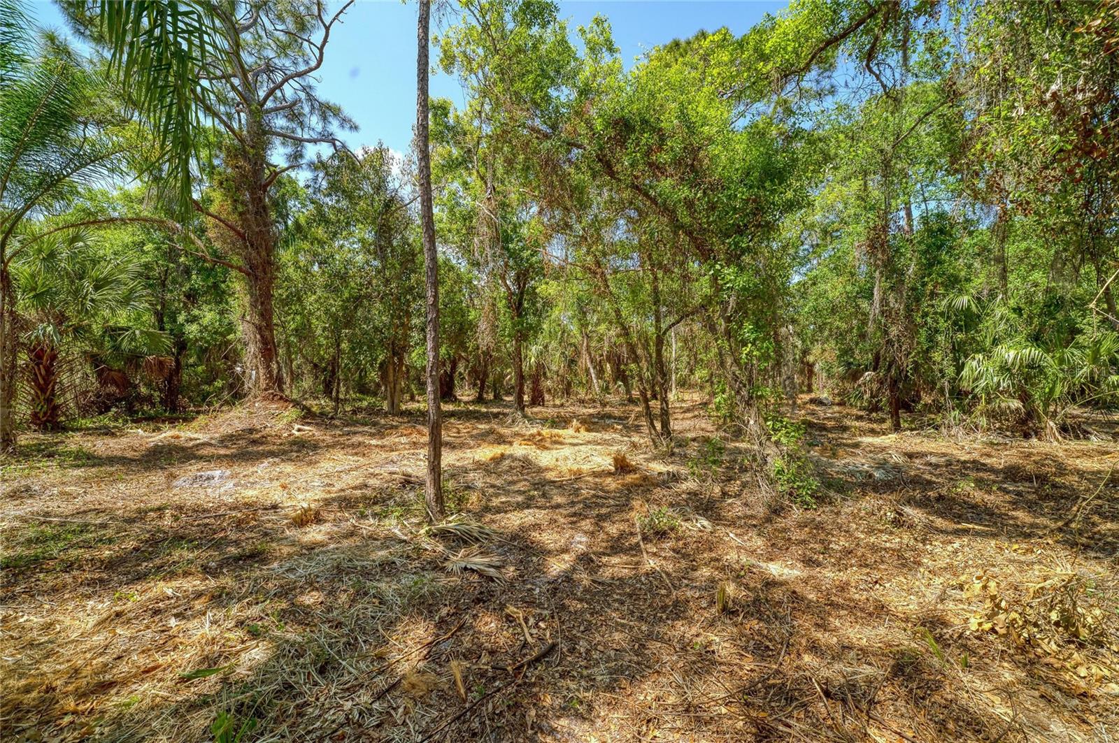 Image 12 of 18 For 3612 57th Street E