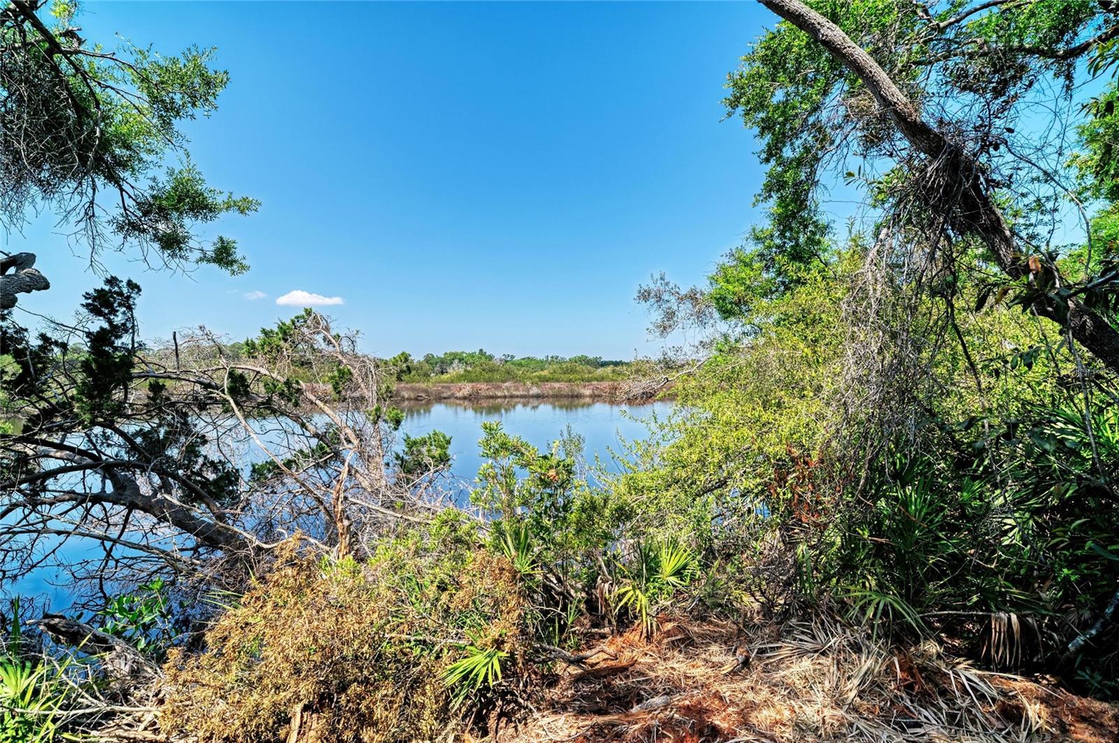 Image 4 of 18 For 3612 57th Street E