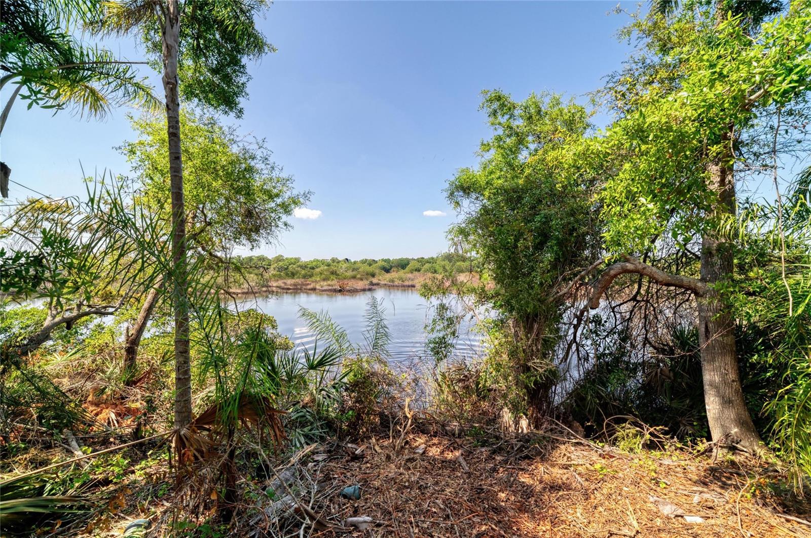 Image 5 of 18 For 3612 57th Street E