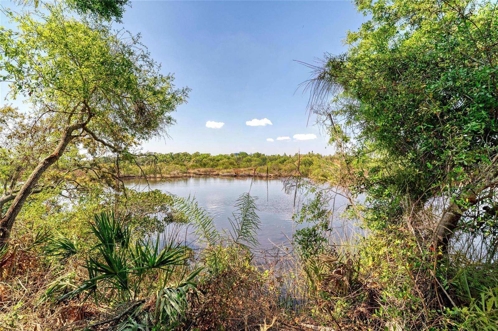 Image 6 of 18 For 3612 57th Street E